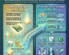 Conceptual graphic showing transition from ontological halal focusing on intrinsic nature, divine commands, and raw substances to epistemic-institutional halal involving knowledge, methods, verification, and institutional governance.